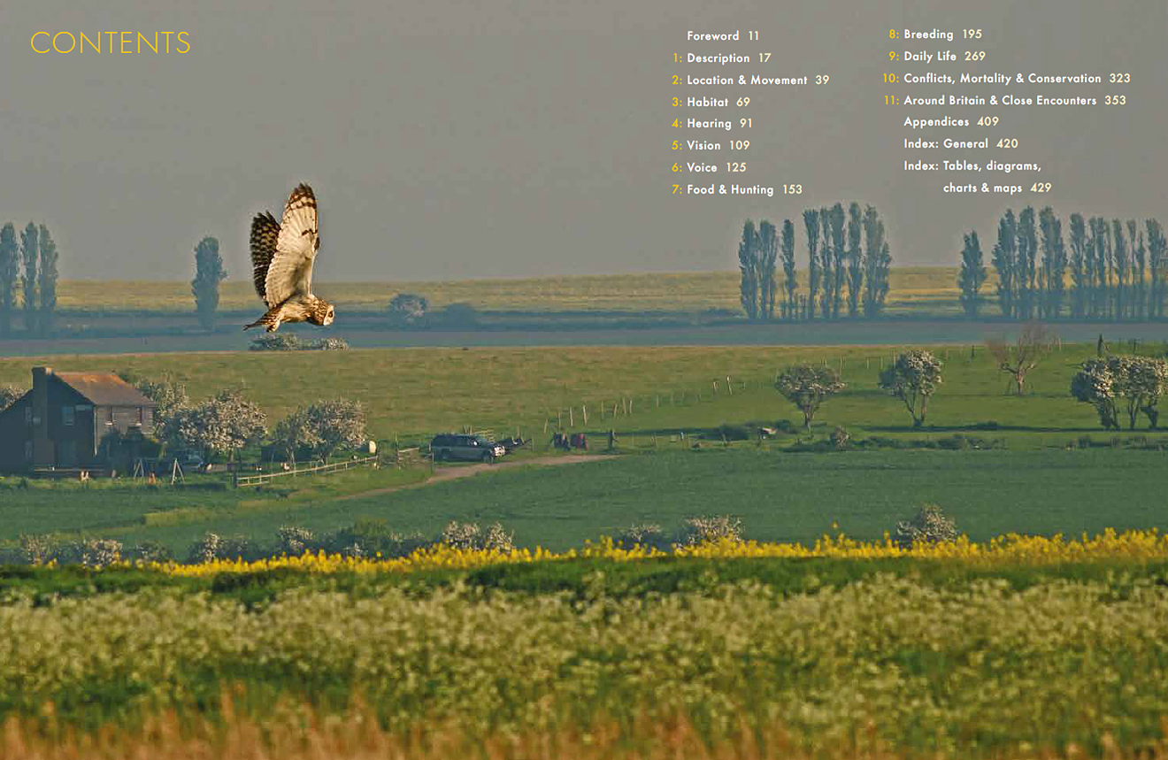 Short-eared Owl book contents photo